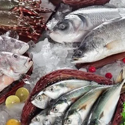 Perdagangan Besar Hasil Perikanan dan Industri Pembekuan Ikan